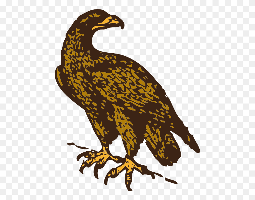 480x597 Imágenes Prediseñadas De Águila Real Vector Libre - Imágenes Prediseñadas De Águila Pescadora
