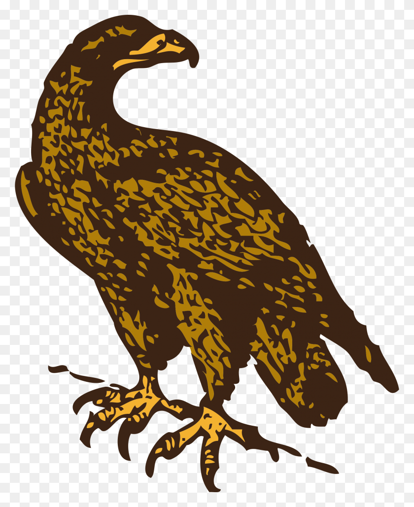 1930x2400 Golden Eagle Icons Png - Eagle PNG