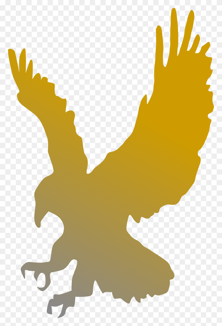 1596x2400 Golden Eagle Vector Clipart Image - Mohawk Clipart
