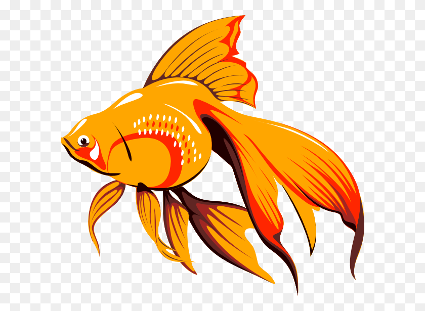 600x555 Golden Fish Png, Clip Art For Web - Fish Tail Clipart