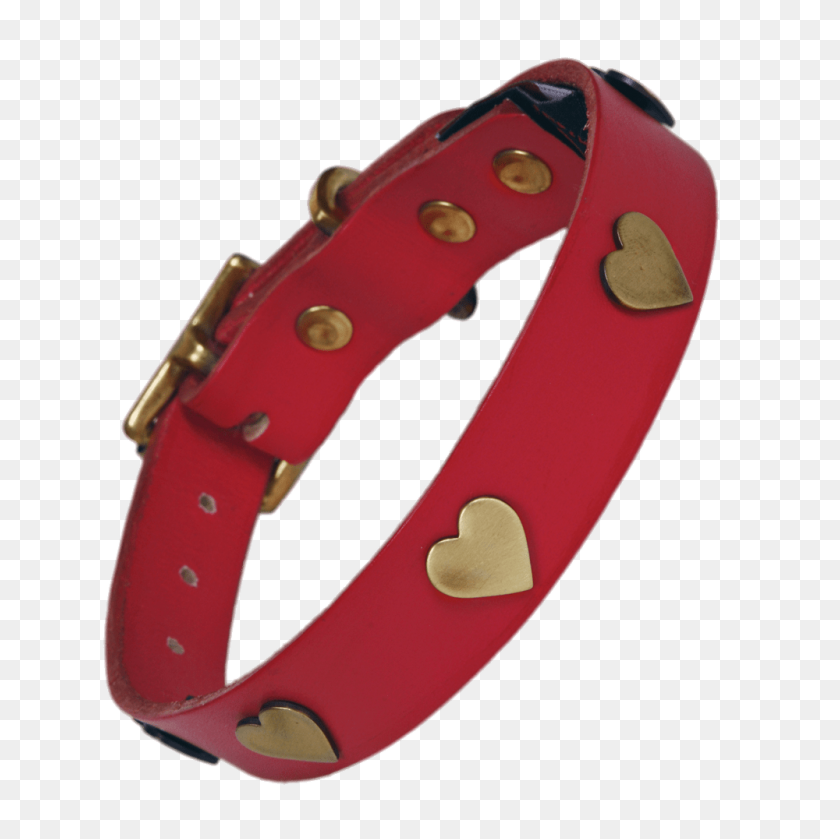 1000x1000 Golden Hearts Dog Collar Transparent Png - Dog Collar PNG