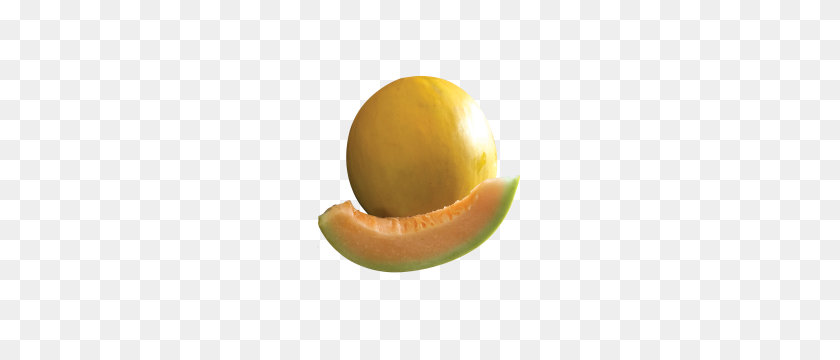 300x300 Golden Jubilee - Cantaloupe PNG