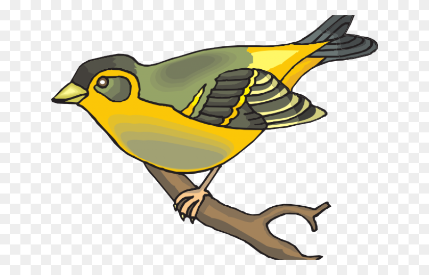 640x480 Goldfinch Clipart Gold Bird - Jersey Shore Clipart