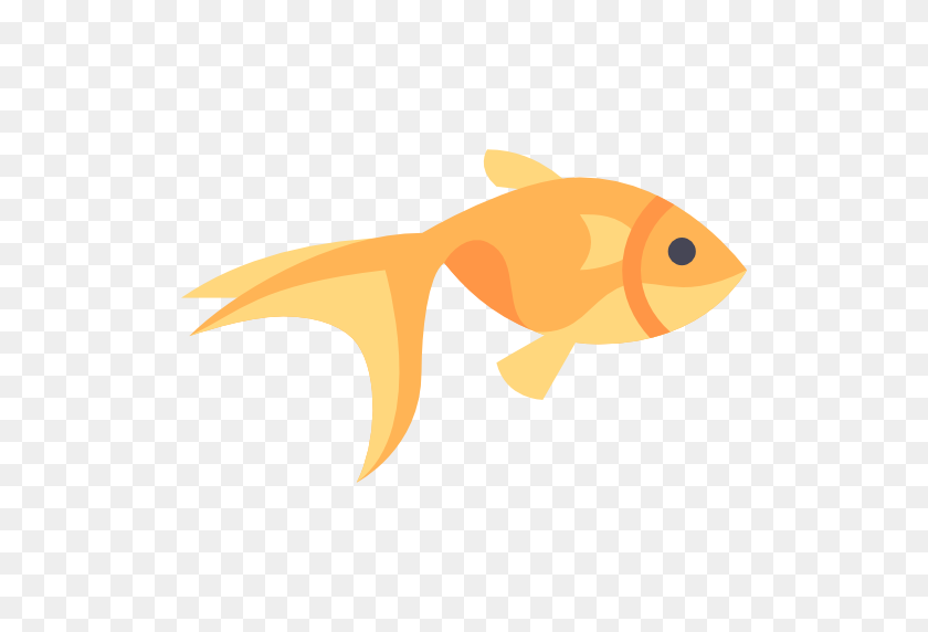 512x512 Goldfish - Goldfish PNG