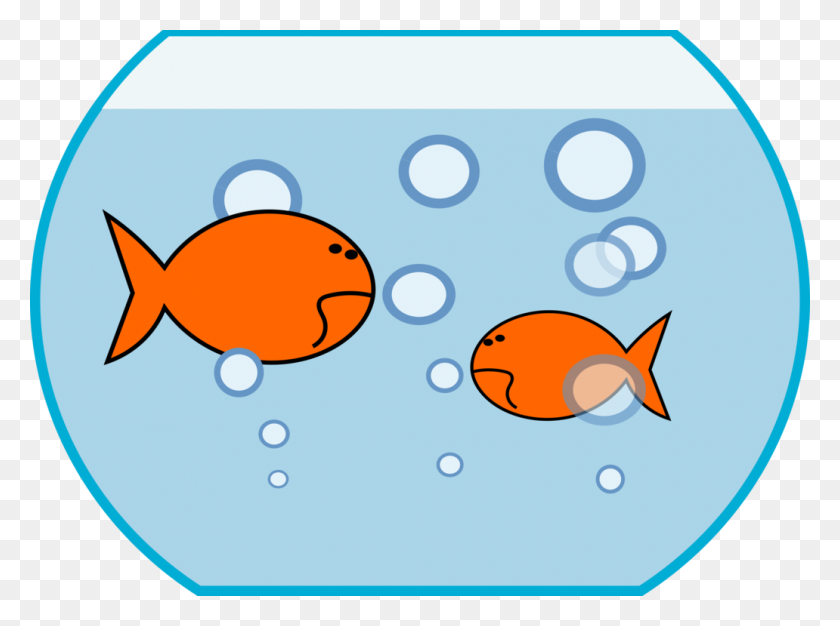 1032x750 Goldfish Aquarium Siamese Fighting Fish Can Stock Photo Free - Fish Bowl PNG