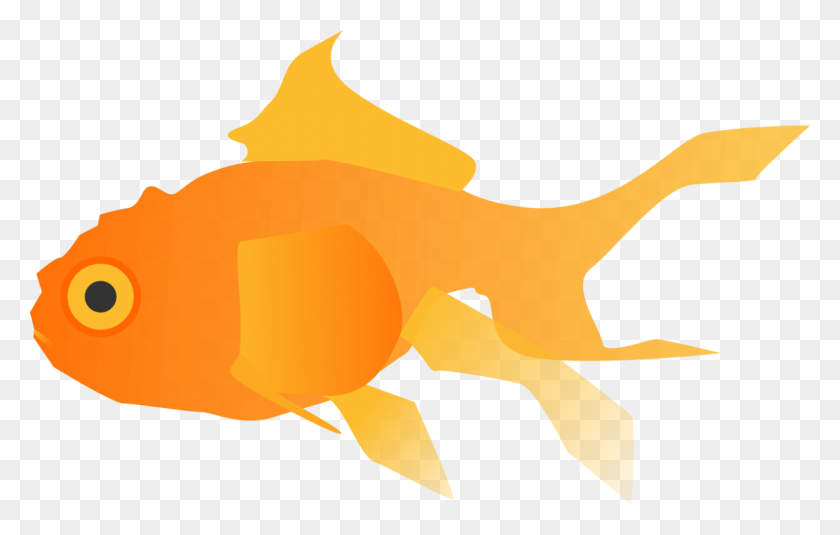 1230x750 Золотая Рыбка Черный Телескоп Рисунок Фермы Пеперидж - Золотая Рыбка Взломщик Клипарт