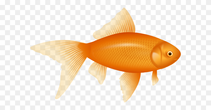 600x378 Золотая Рыбка Клипарт - Золотая Рыбка Клипарт