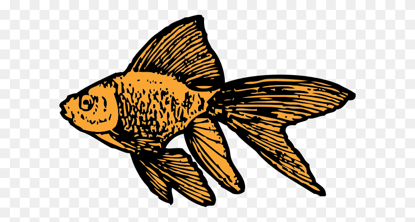 600x389 Золотая Рыбка Клипарт Бесплатный Вектор - Золотая Рыбка Клипарт