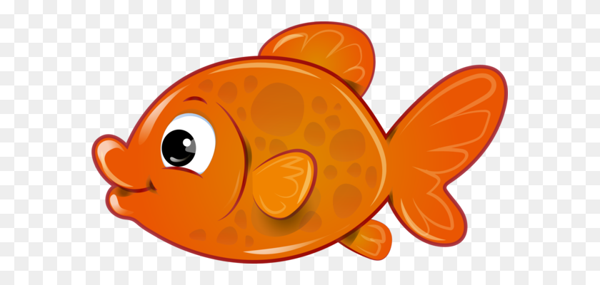 583x340 Goldfish Descargar Dibujo De Iconos De Equipo - Goldfish Png