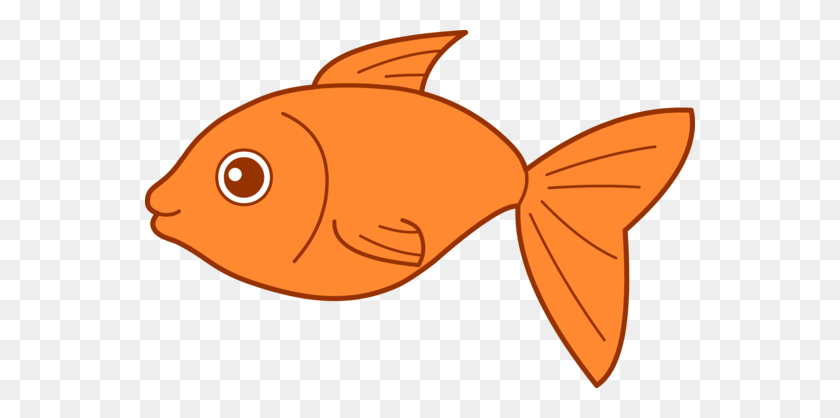 550x358 Goldfish Outline Clipart - Fried Fish PNG