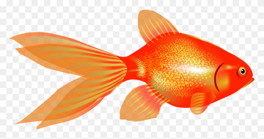 788x387 Goldfish Png - Goldfish PNG