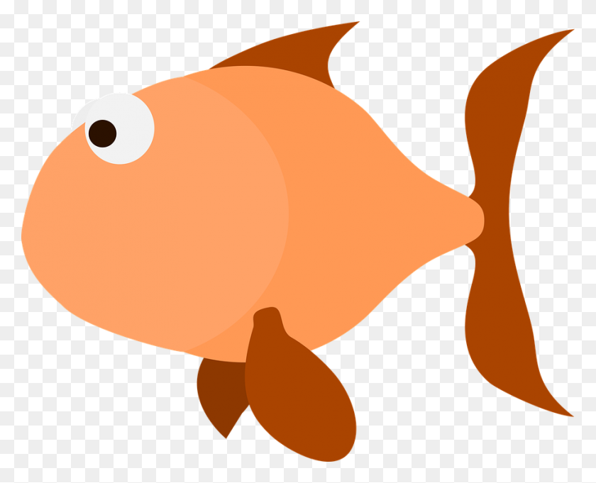 903x720 Золотая Рыбка Png Изображения Скачать Бесплатно - Мертвая Рыба Png