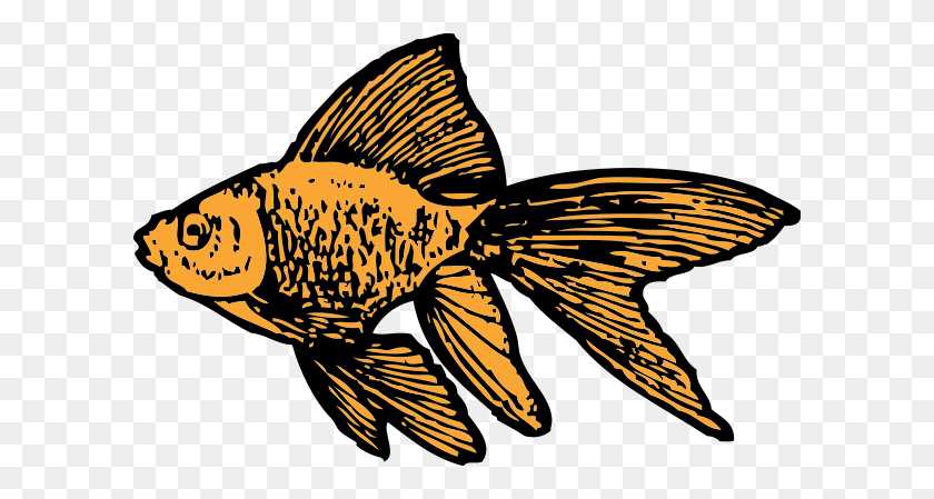 600x389 Золотая Рыбка Png Большого Размера - Золотая Рыбка Png