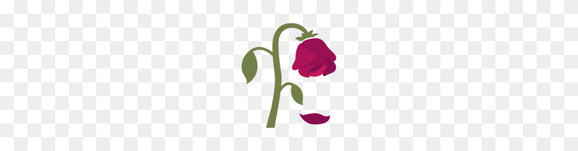 160x160 Google Flower Однолетние Цветы Полное Солнце Ежегодный Цветок Полное Солнце Лучшее - Увядшая Роза Клипарт