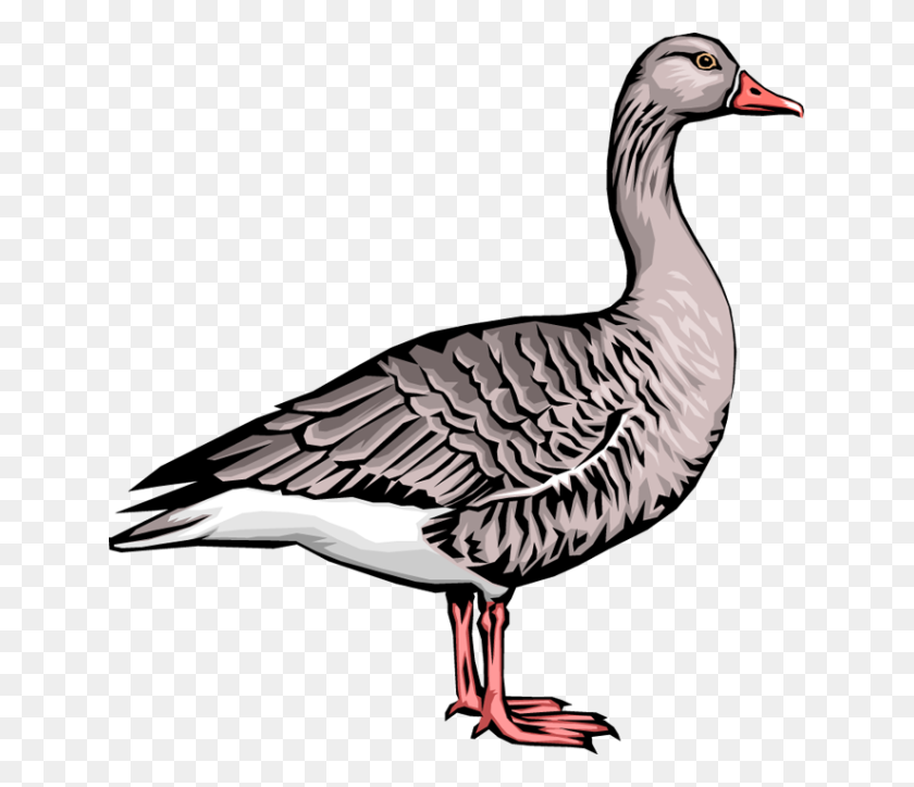 639x664 Goose Clip Art - Goose Clipart Black And White