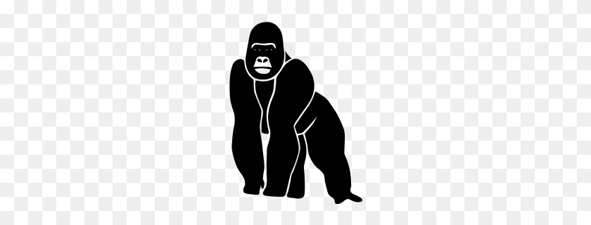 190x260 Gorilla Ape Monkey King Kong Godzilla Silver Back Orang Utan Zip - King Kong PNG