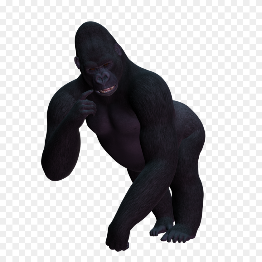 1024x1024 Gorilla Transparent Png Pictures - King Kong PNG
