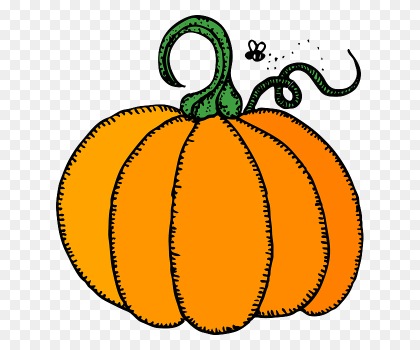 615x640 Gourd Clipart November - Pampered Chef Clipart