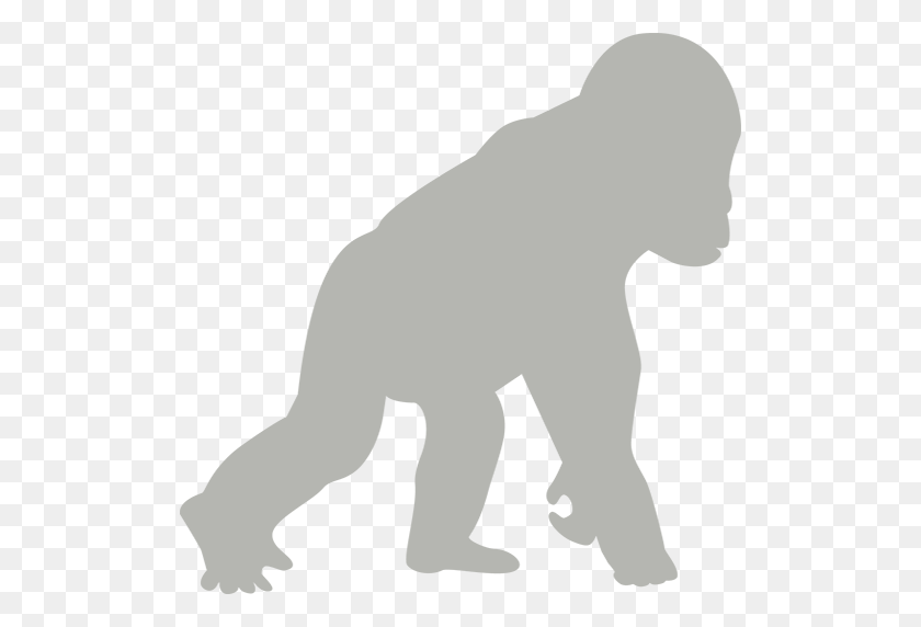 512x512 Grace Gorilla Centro De Educación De Rehabilitación Y Conservación - Gorila Clipart Png