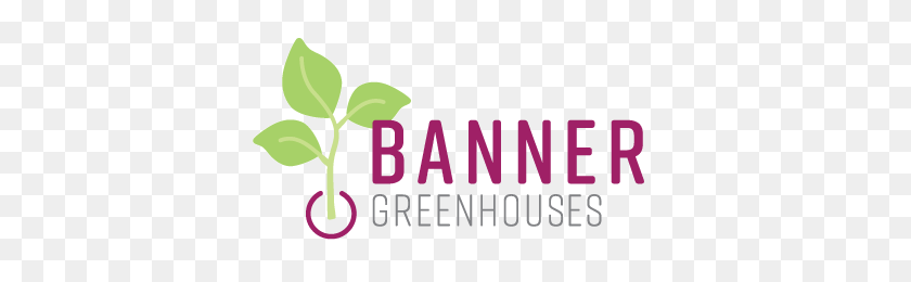 384x200 Grafted Tomato Banner Greenhouses - Purple Banner PNG