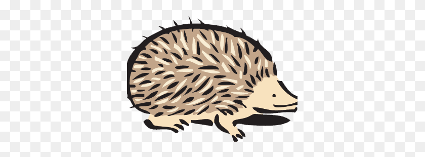 337x250 Grant Writing Administration - Porcupine PNG
