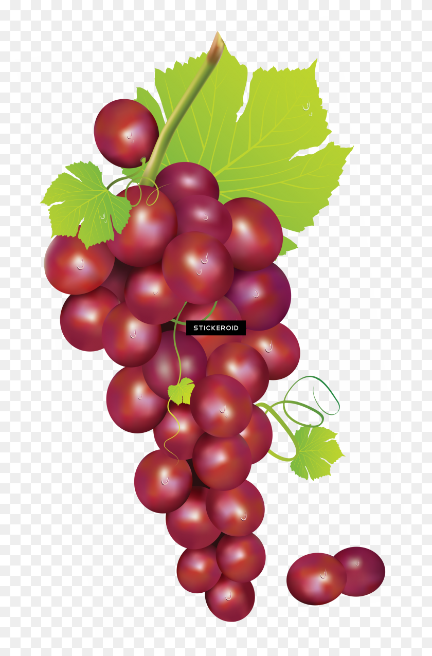 2422x3777 Grape - Grapes PNG