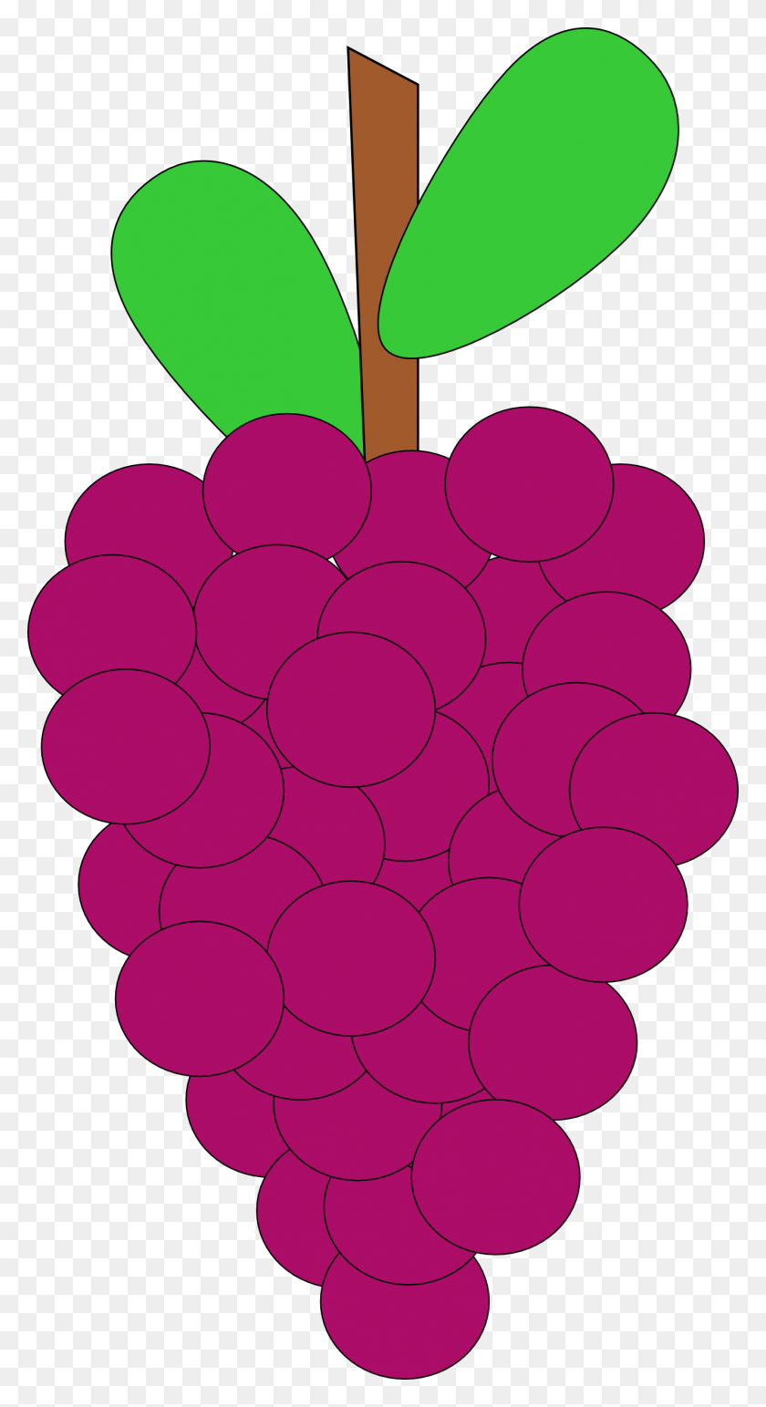 1331x2531 Grape Cliparts - Purple Grapes Clipart