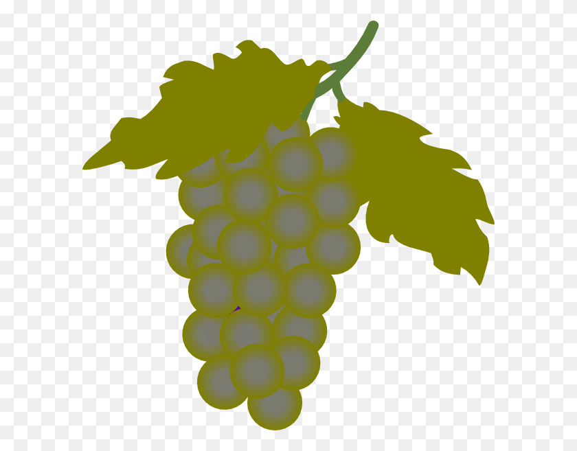 600x597 Grape Cluster - Grape Vine Clipart