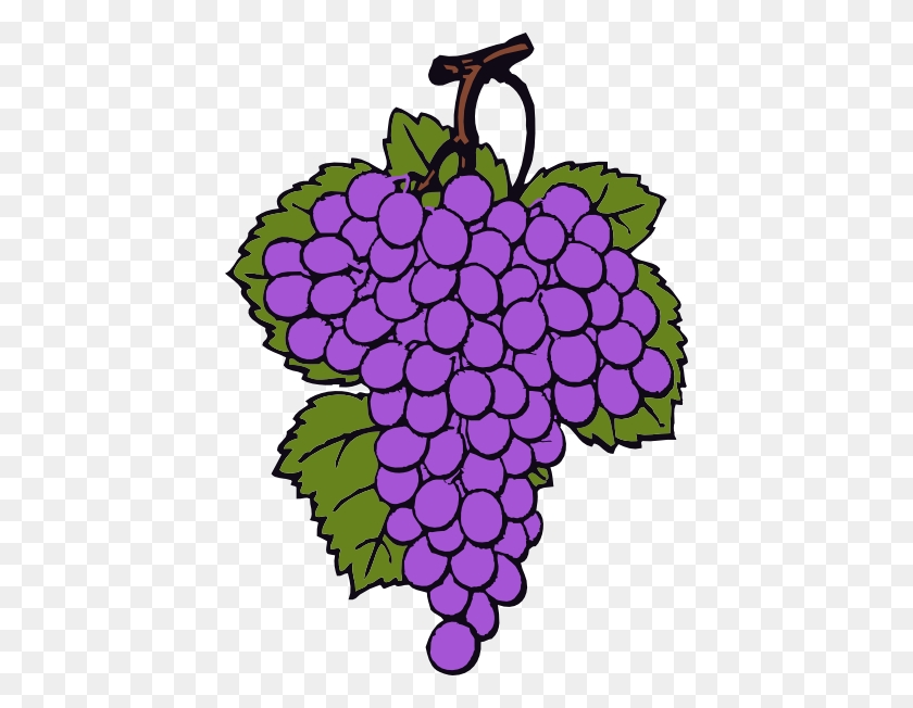 426x592 Grape Cluster Clip Art - Bunch Of Grapes Clipart