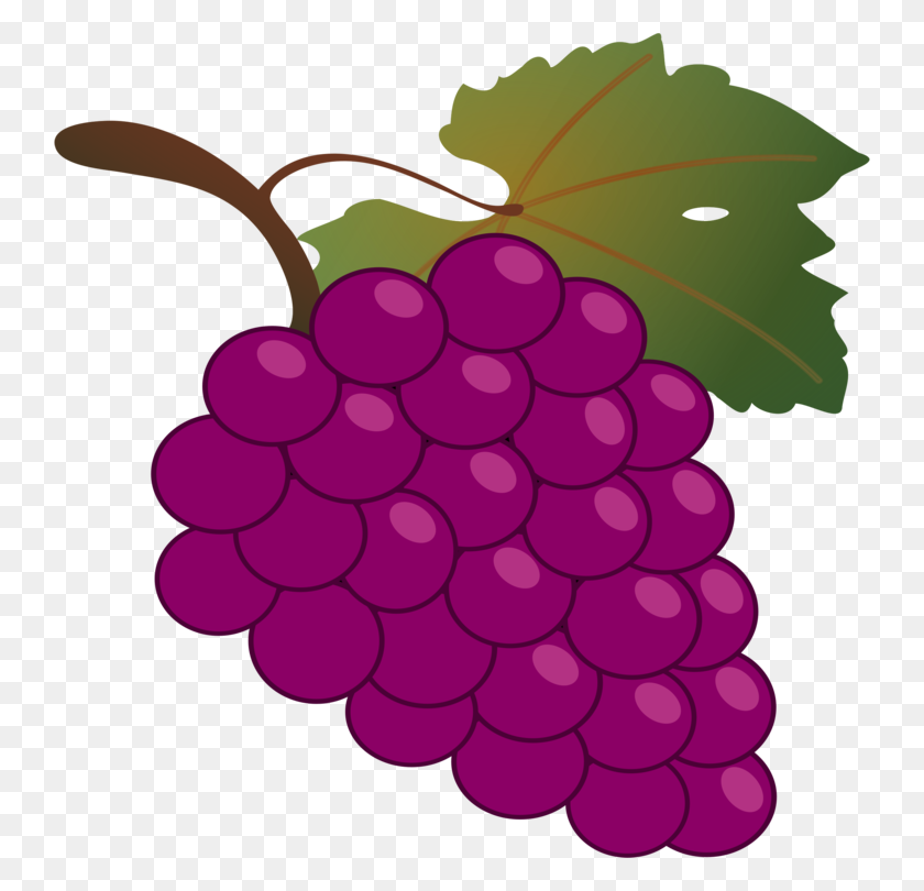 742x750 Виноград Киохо Вино Урожай Вайн - Фиолетовый Виноград Клипарт