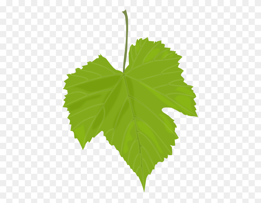 438x594 Grape Leaf Clip Art - Leaf Vector PNG