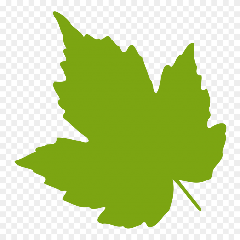 2400x2400 Grape Leaf Clipart - Green Leaf Clip Art