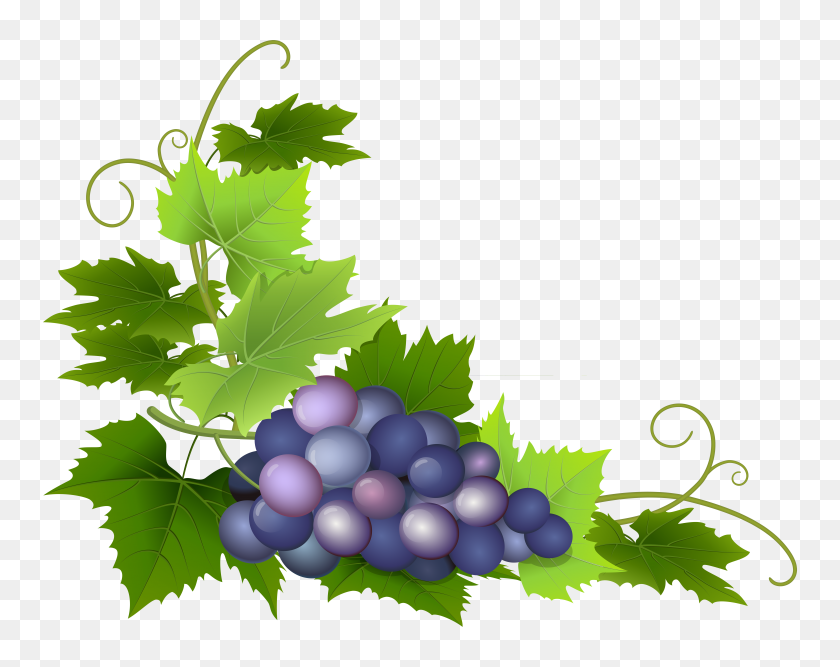 8000x6230 Grape Png Clip Art - Fruit Border Clipart
