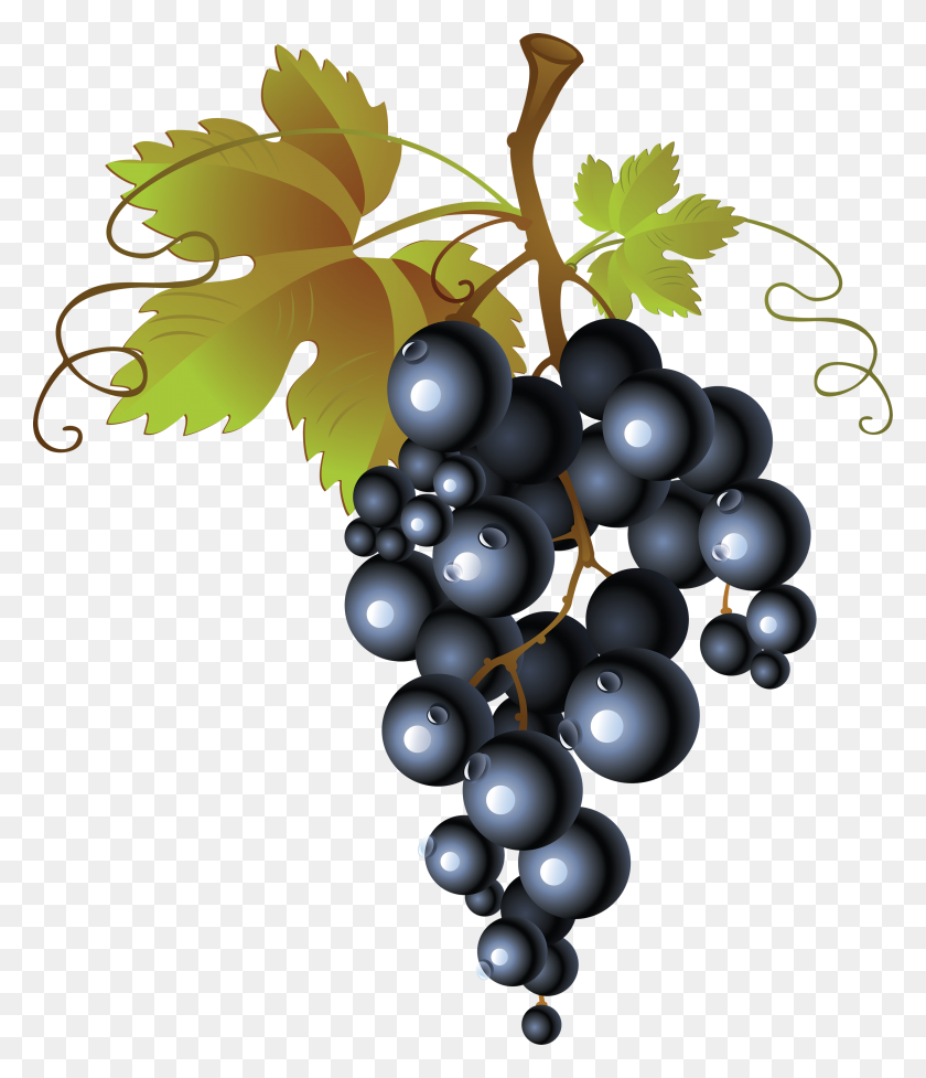2858x3360 Grape Png Image, Free Picture Download - Purple Grapes Clipart
