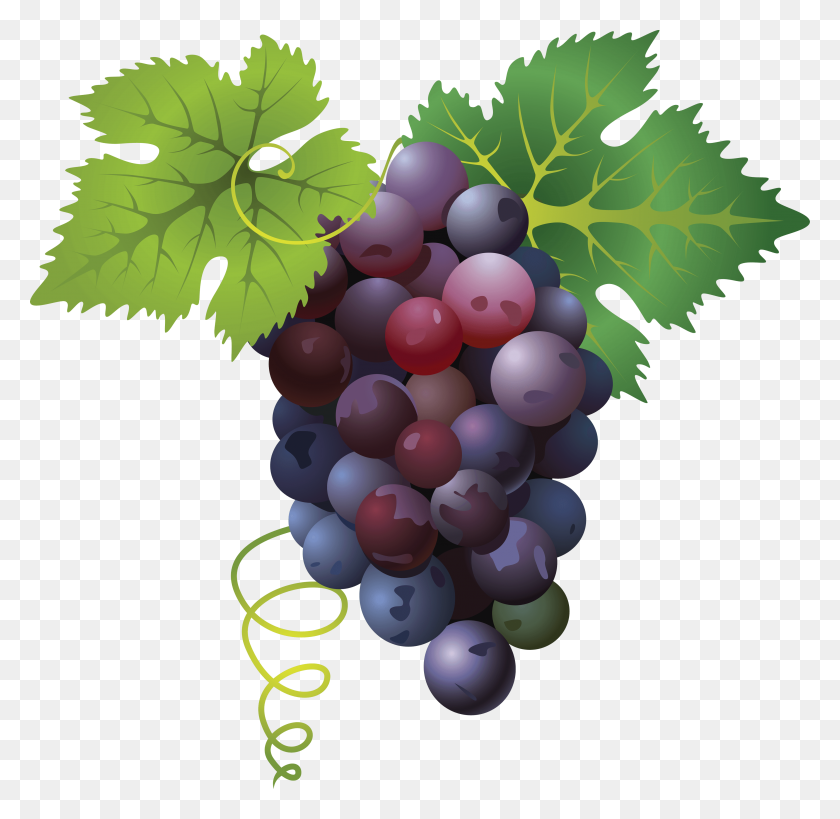 3577x3481 Grape Png Transparent Free Images Png Only - Grapes PNG
