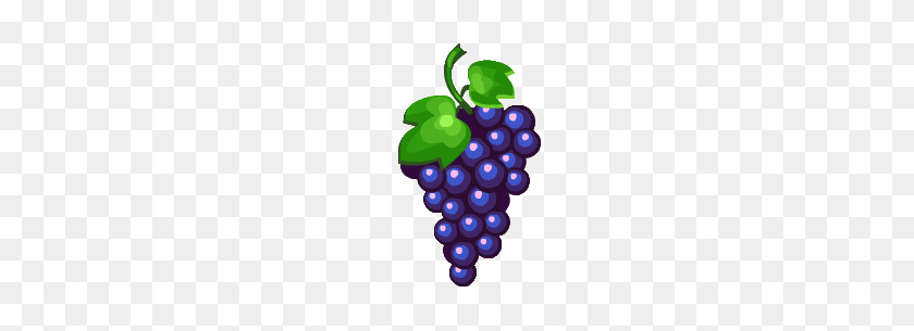 204x245 Grape Png Transparent Images - Grapes PNG