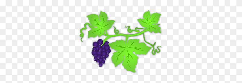 297x228 Grape Vine Clip Art - Raisin Clipart