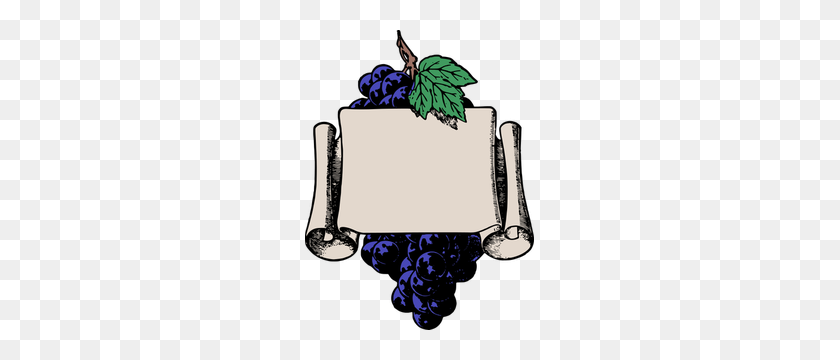 229x300 Grape Vine Clip Art - Grape Vine Clipart