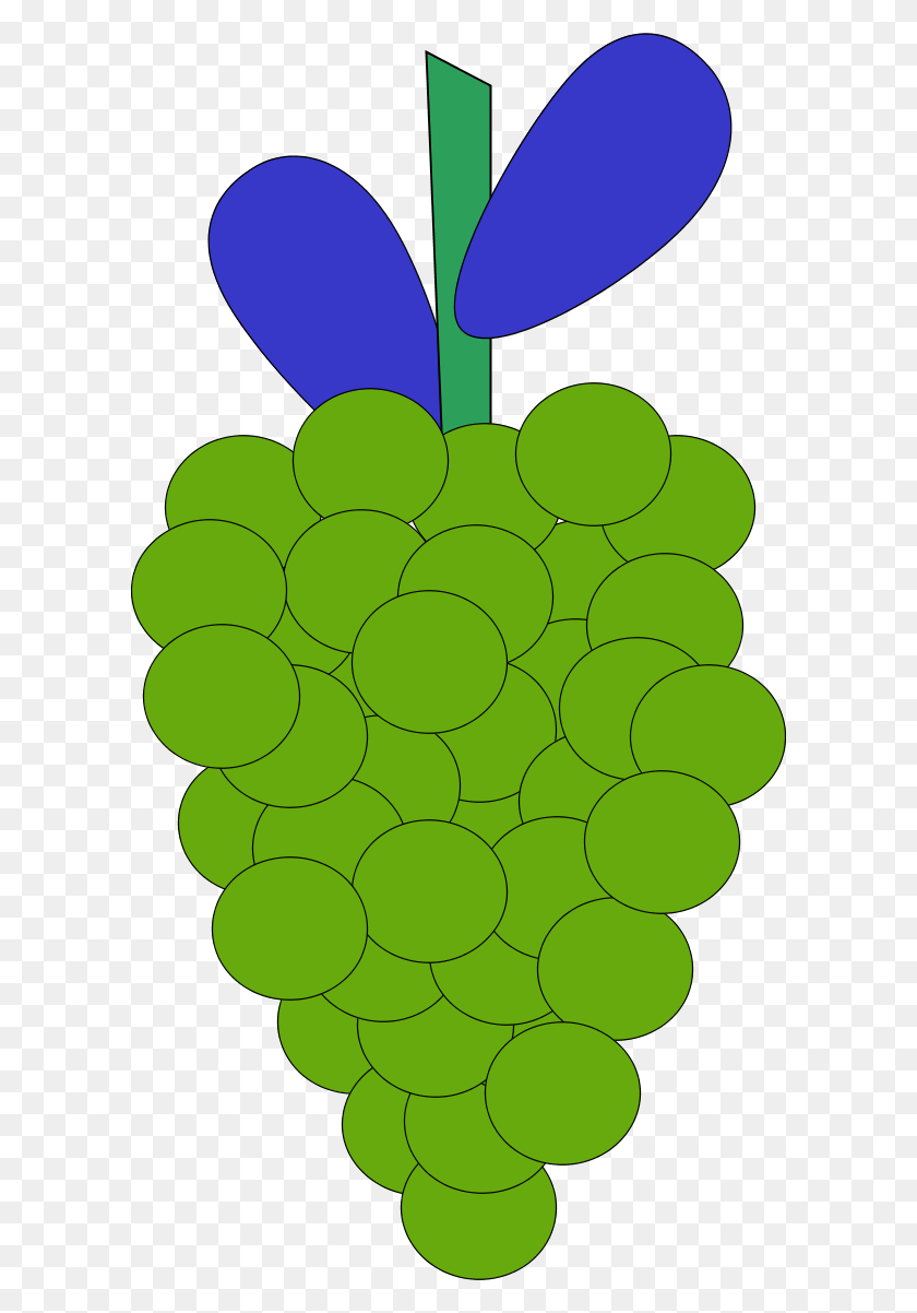 600x1142 Grape Vine Clip Art - Grape Vine Clipart