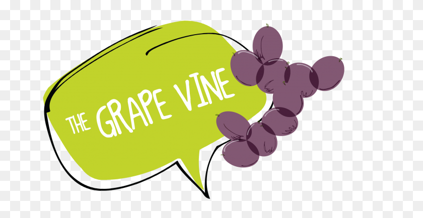 2500x1200 Grape Vine Website Banner - Grape Vine PNG