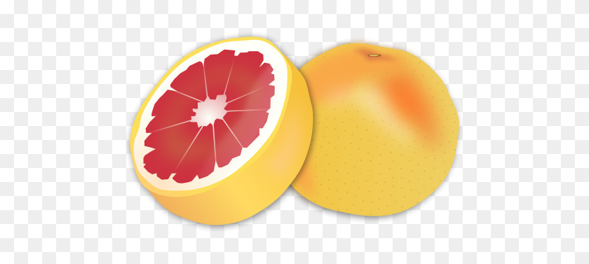 500x317 Grapefruit - Grapefruit PNG