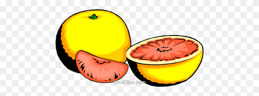 480x251 Grapefruit And Slices Royalty Free Vector Clip Art Illustration - Grapefruit Clipart