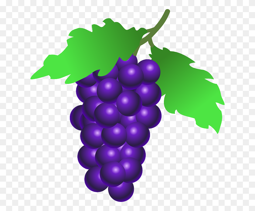 640x637 Grapes Clip Art - Uva Clipart