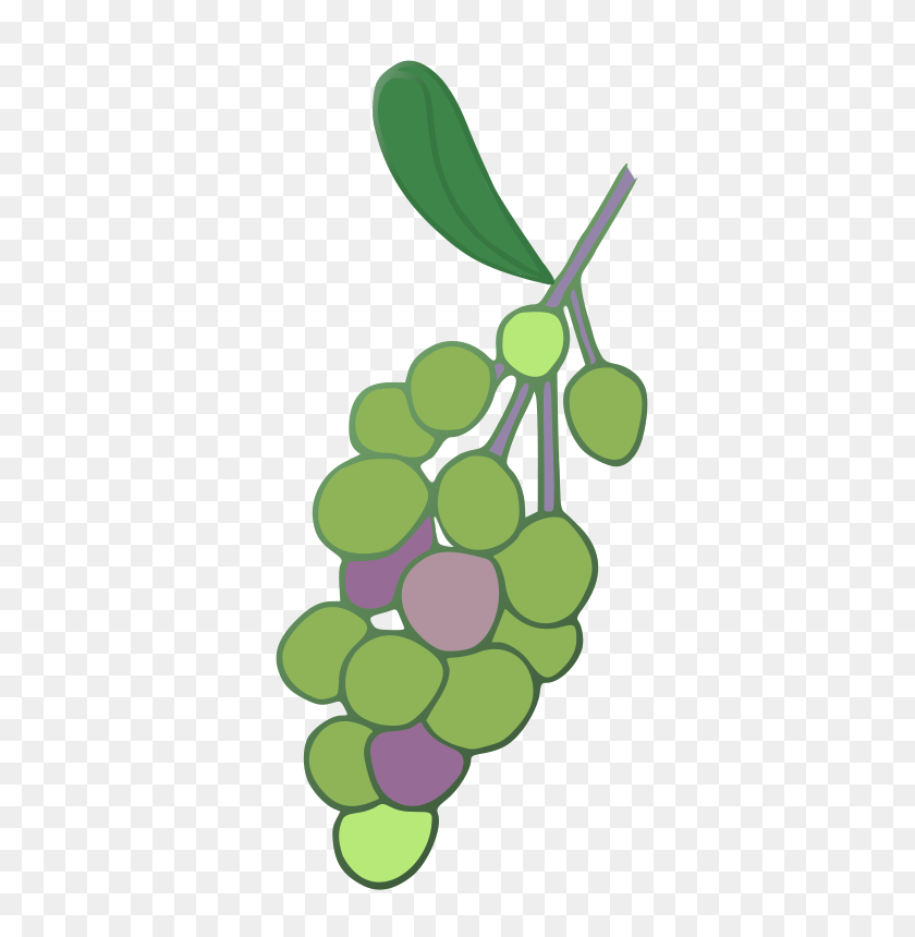 366x800 Grapes Clip Art Download - Green Grapes Clipart