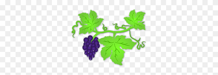 300x229 Grapes Clip Art Free - Bunch Of Grapes Clipart