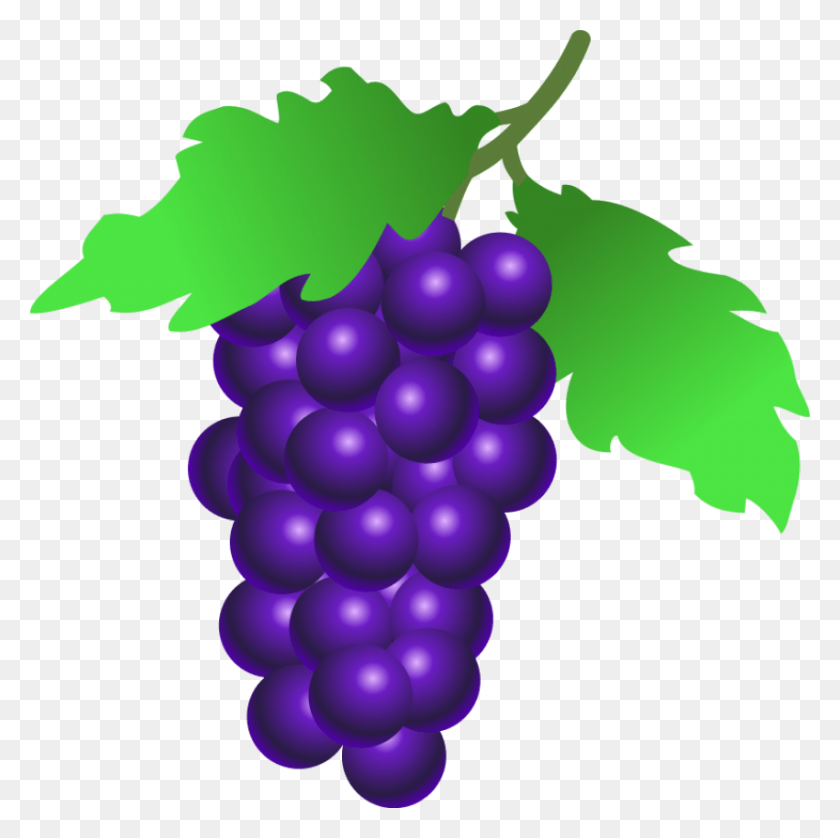 850x848 Grapes Clip Art Png Png - Purple Grapes Clipart