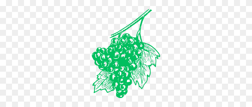 228x298 Grapes Green Clip Art - Green Grapes Clipart