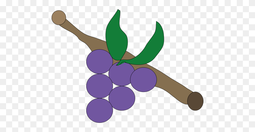 500x375 Grapes On Branch - Purple Grapes Clipart