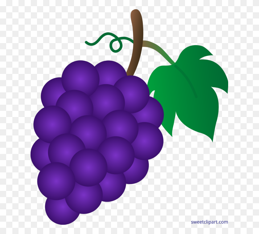641x700 Виноград Фиолетовый Картинки - Сиреневое Дерево Клипарт