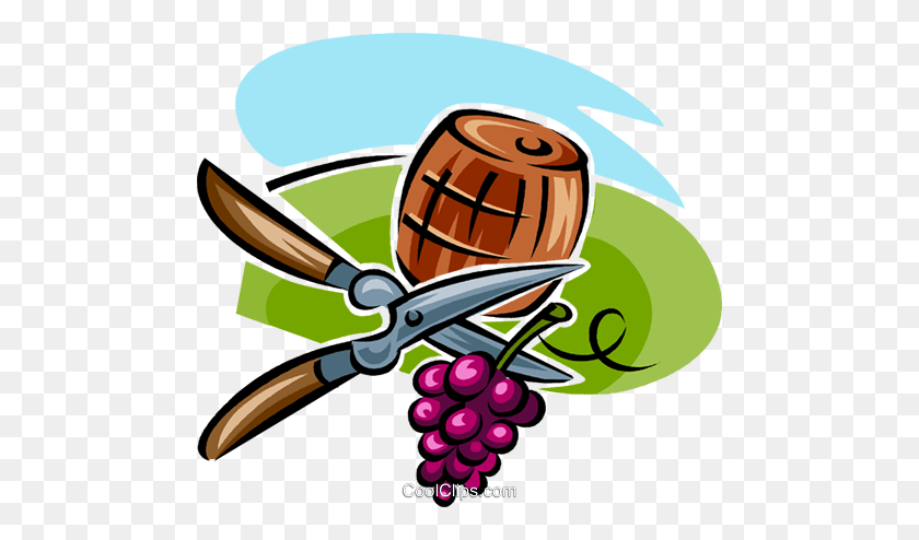 480x434 Grapes, Shears And A Wine Barrel Royalty Free Vector Clip Art - Wine Barrel Clipart